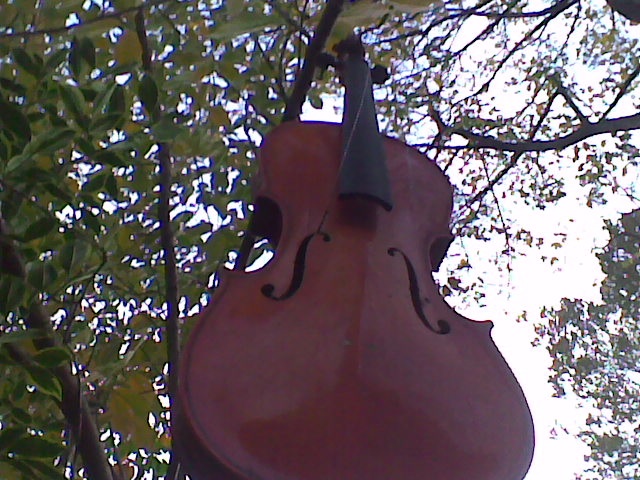 violin1
